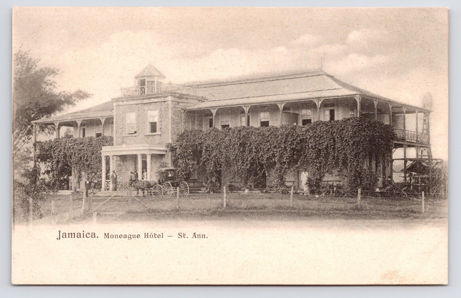 c1905~Moneague Hotel~Street View~Horse~Saint Ann Parish~Jamiaca~Antique Postcard