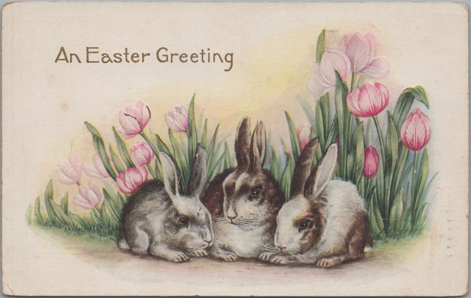 Postcard An Easter Greeting Rabbits and Pink Tulips 