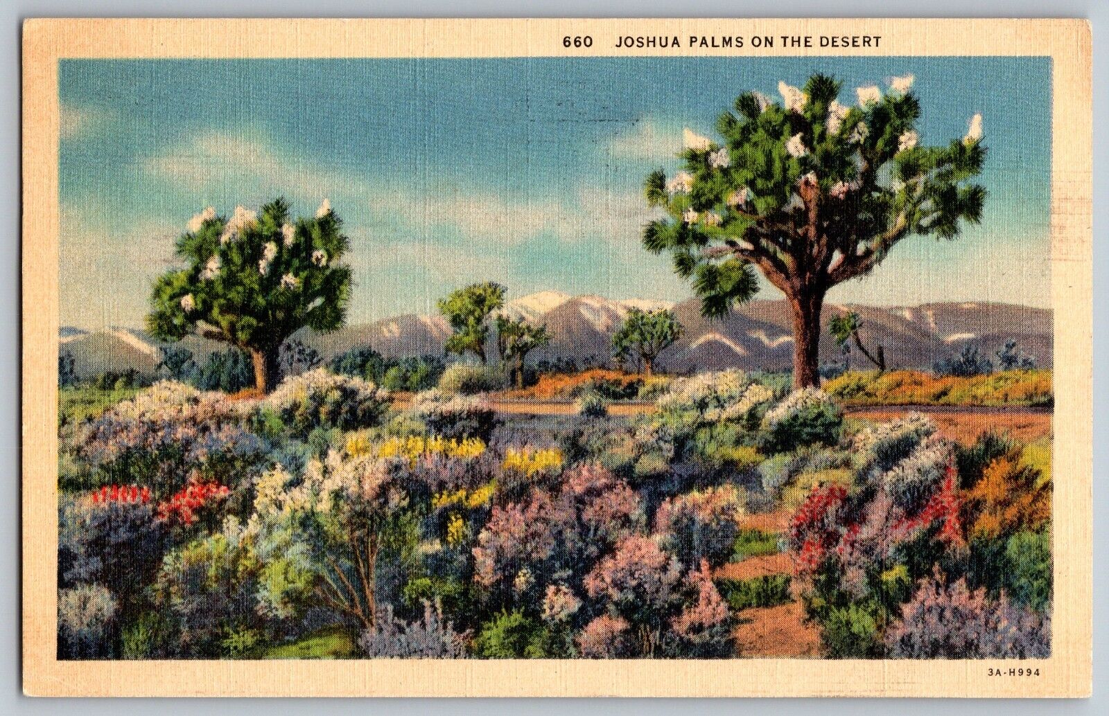 California CA - Colorful Joshua Palms Trees on the Desert - Vintage Postcard