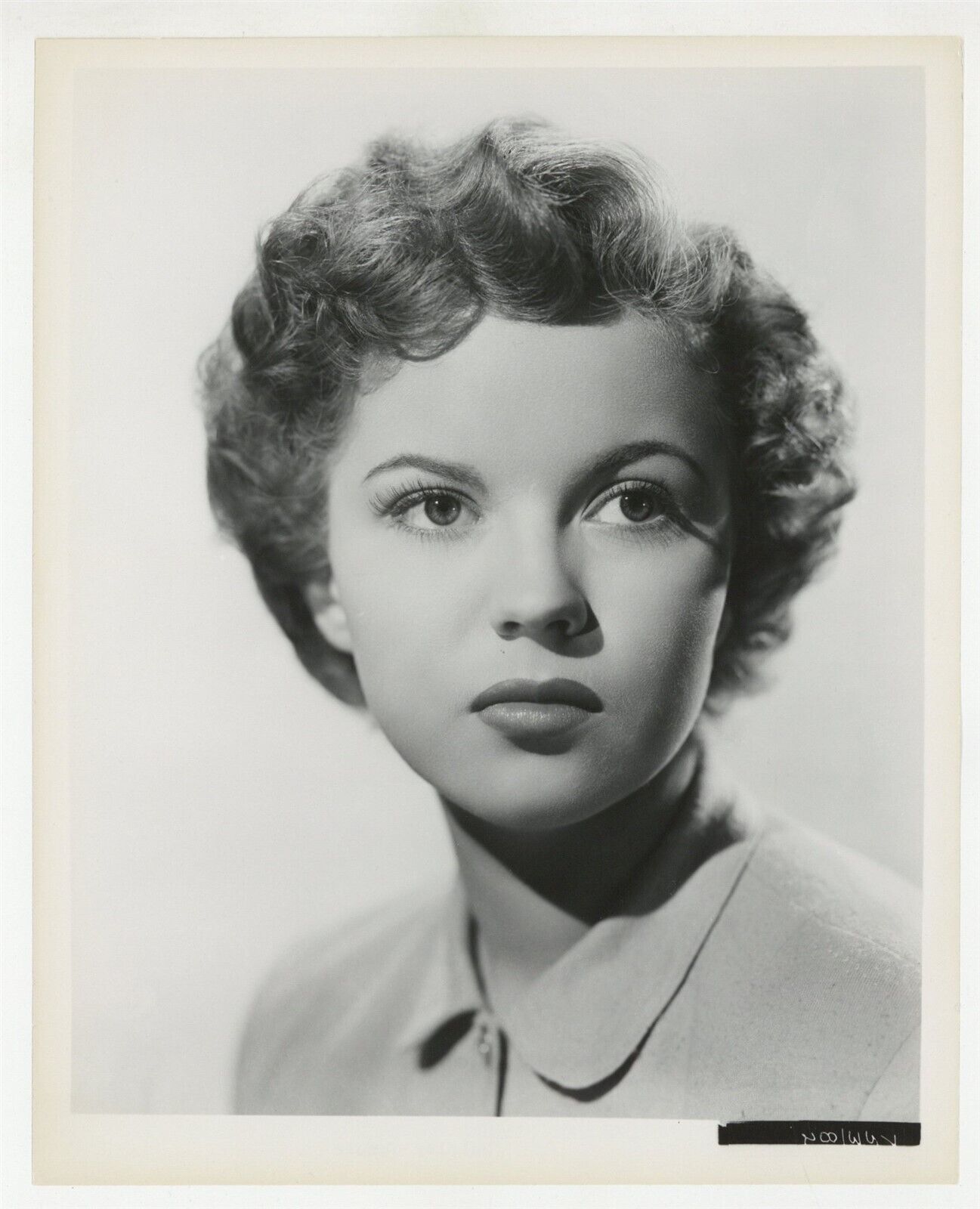 Shirley Temple 1949 Original Glamour Portrait Spectacular Young Lady Photo 10015