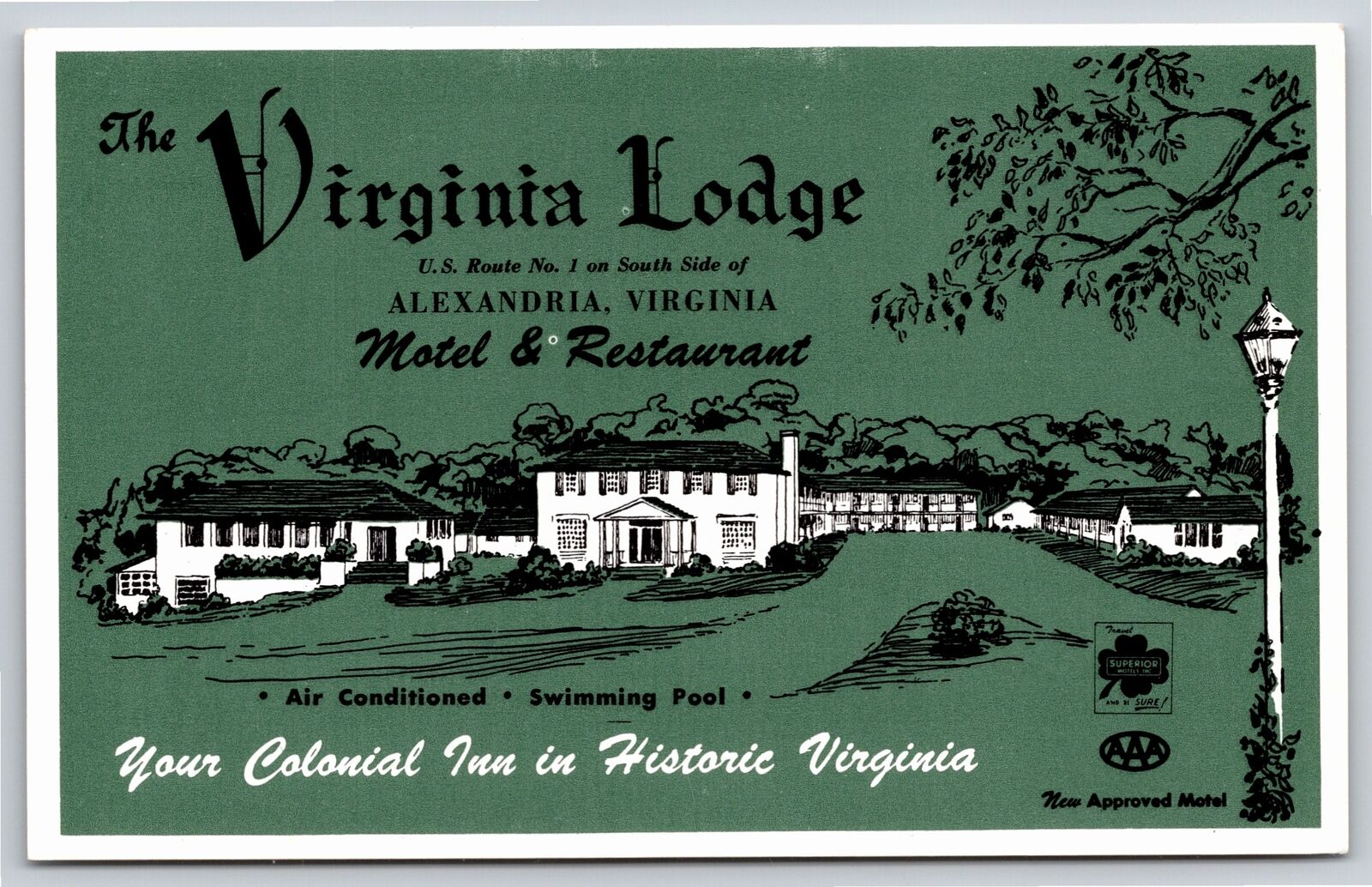 Alexandria VA~The Virginia Lodge Motel & Restaurant~Green~Artist Drawing~Vtg PC