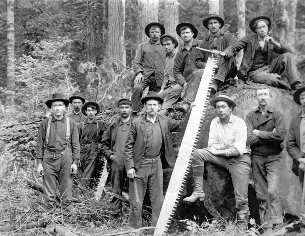 1900 Loggers With Saw, Oregon Old Photo 8.5\