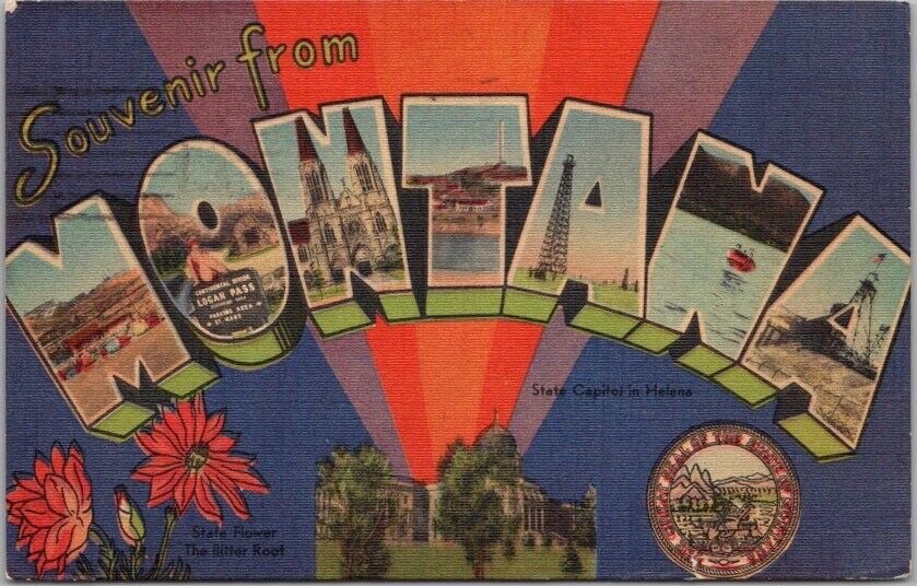 Vintage MONTANA Large Letter Postcard State Capitol & Flower / Linen 1947 Cancel