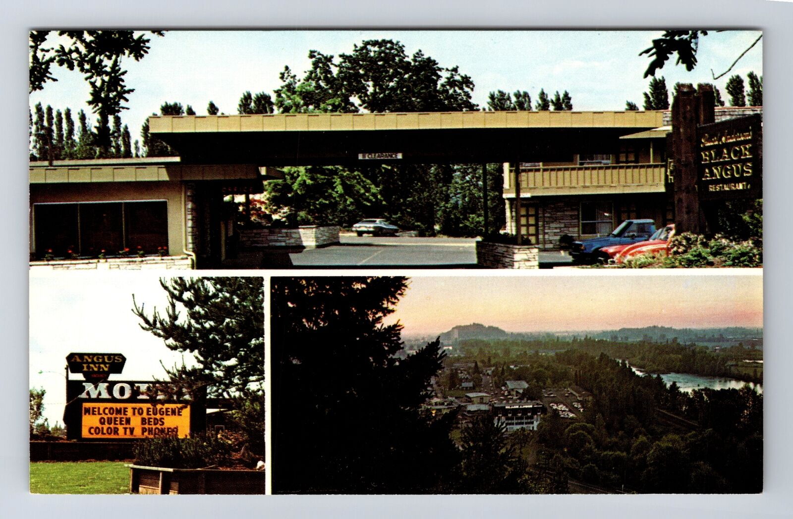 Eugene OR-Oregon, Angus Inn Motel, Advertising, Souvenir Vintage Postcard
