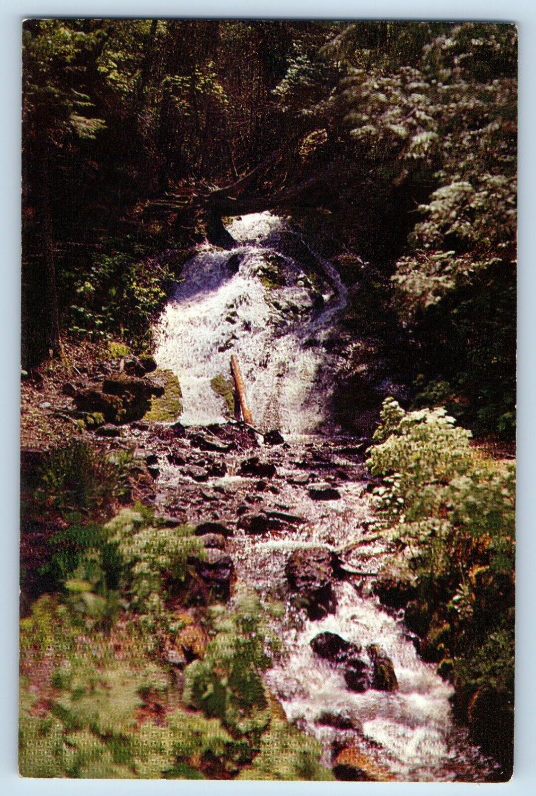 Keweenaw County Michigan MI Postcard Jacobs Creek Falls Peninsula c1966 Vintage
