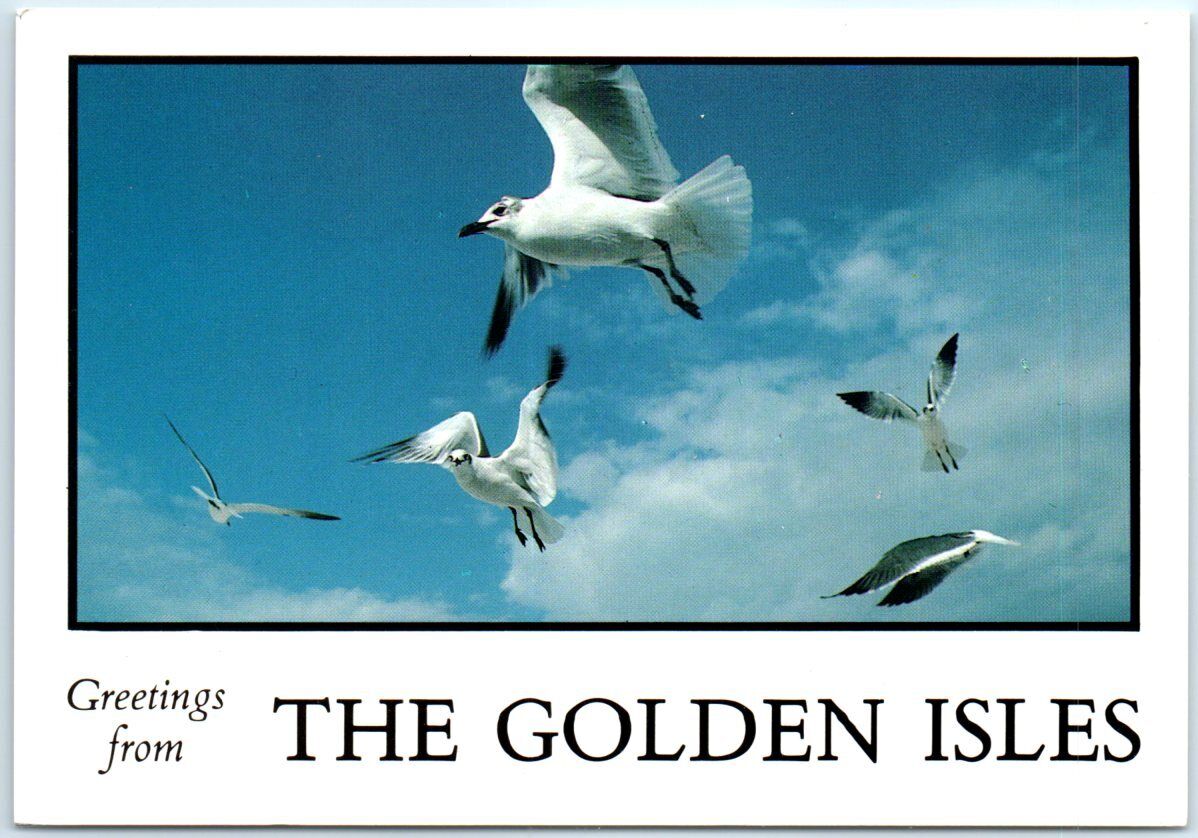 Postcard - Greetings from The Golden Isles - Georgia