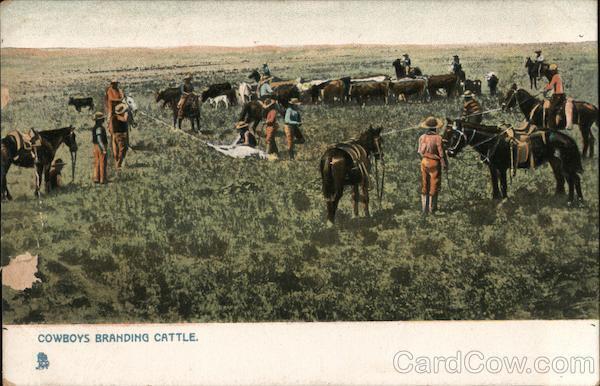 Cowboy/Western Cowboys Branding Cattle Tuck Antique Postcard Vintage Post Card