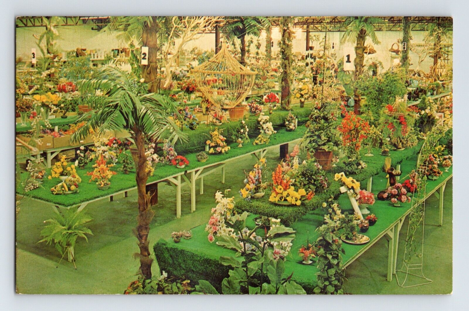 Postcard New York Long Island Patchogue Floral Fantasyland 1960s Unposted Chrome
