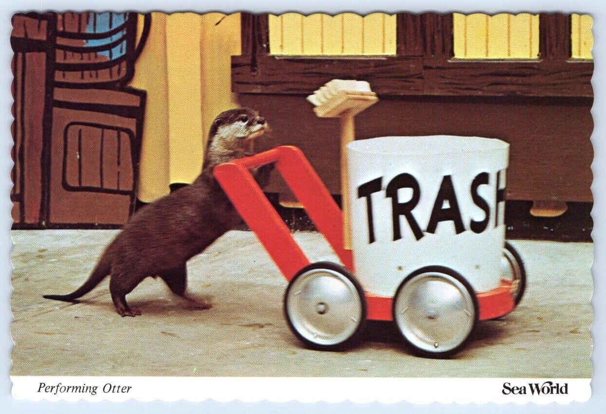 Postcard Sea World Performing Otter Taking Out the Trash