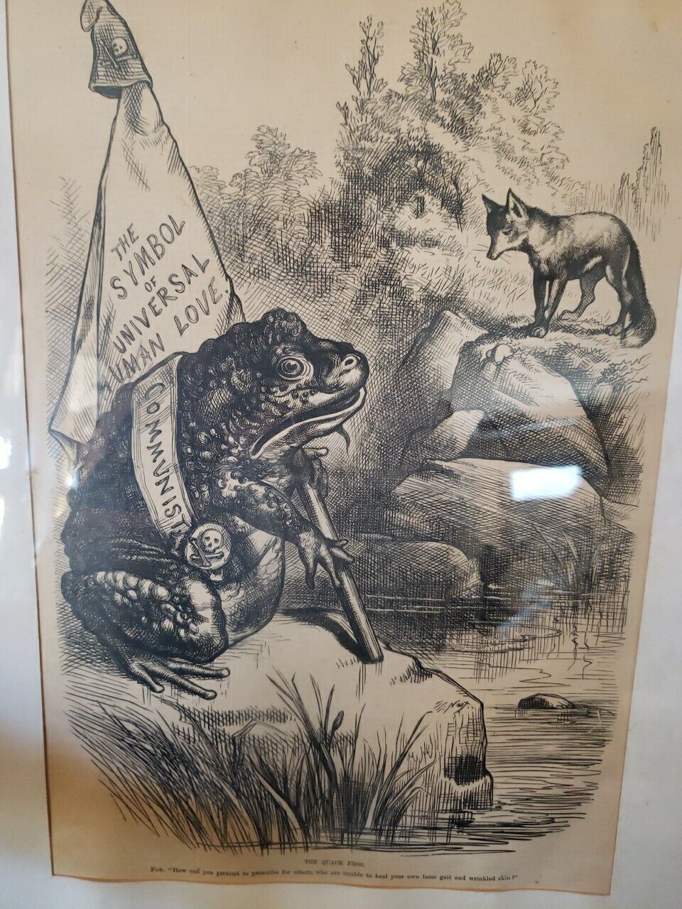 Vintage Harpers Weekly 5/25/1878 Framed  Etching .The Quack Frog. Collectors Art