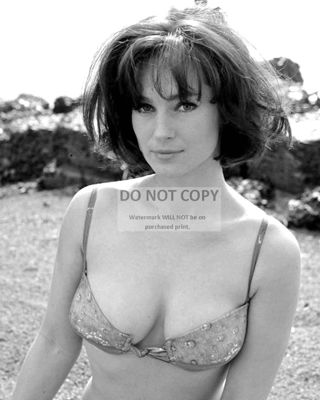 SHIRLEY ANNE FIELD ENGLISH ACTRESS PIN UP - 8X10 PUBLICITY PHOTO (CC663)