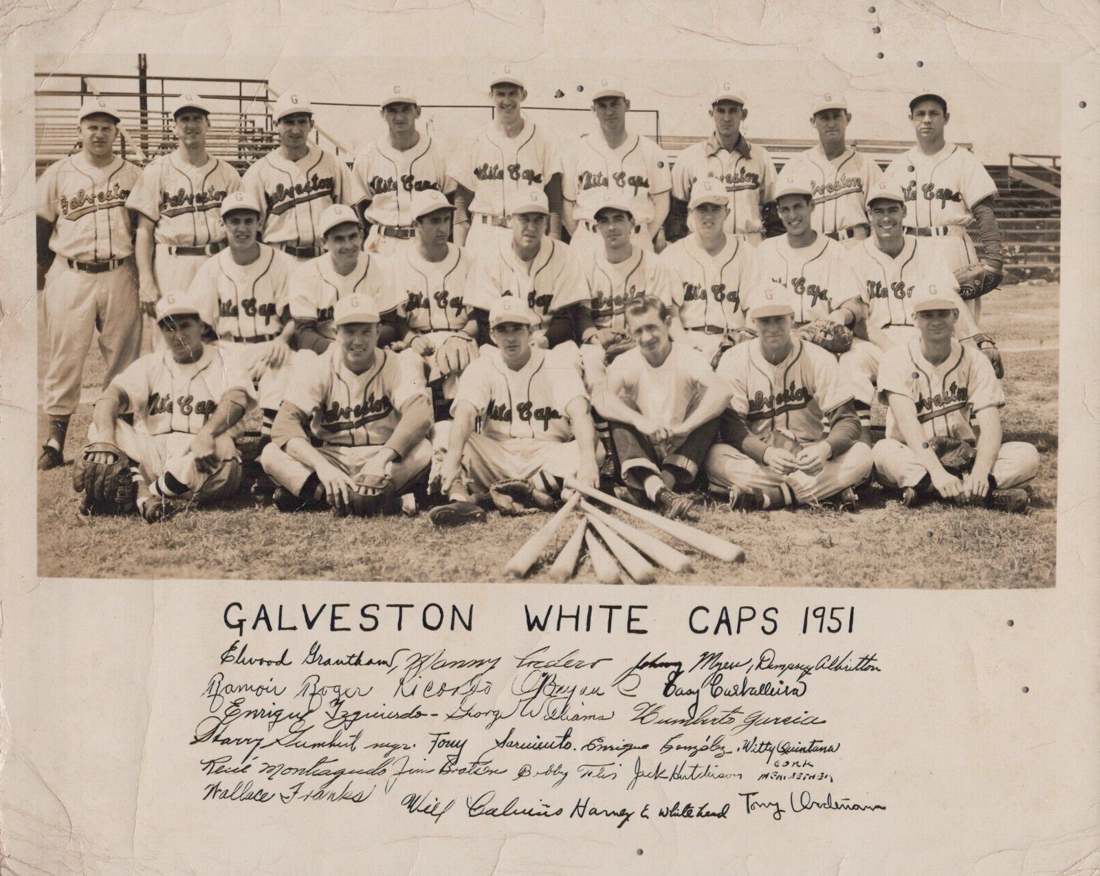 GALVESTON WHITE CAPS BASEBALL TEAM SIGNED ALL PLAYERS PORTRAIT  1951 PHOTO 150