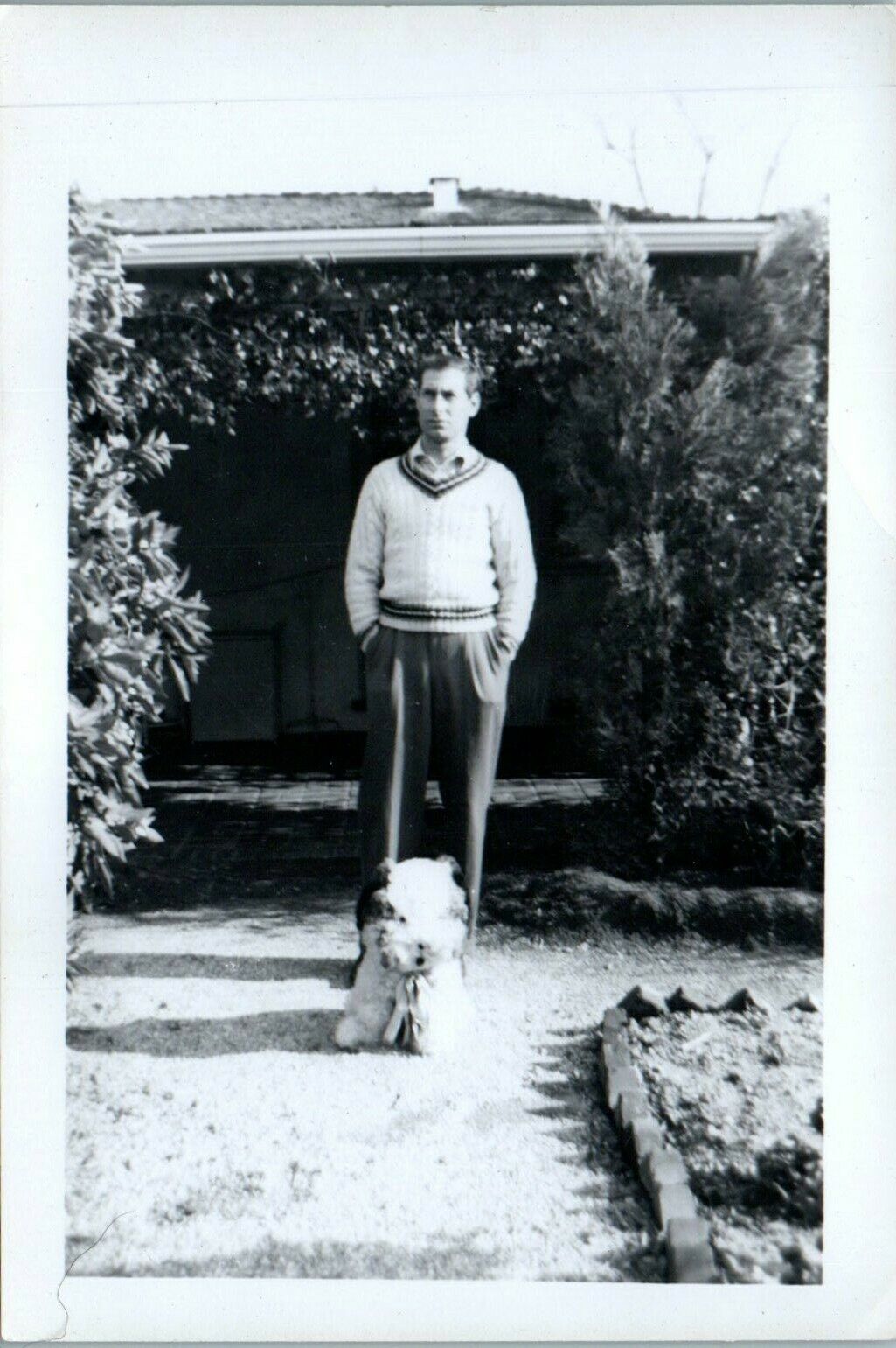 Vintage Photo 1940s Handsome Preppy Young Man with Big Fluffy Dog