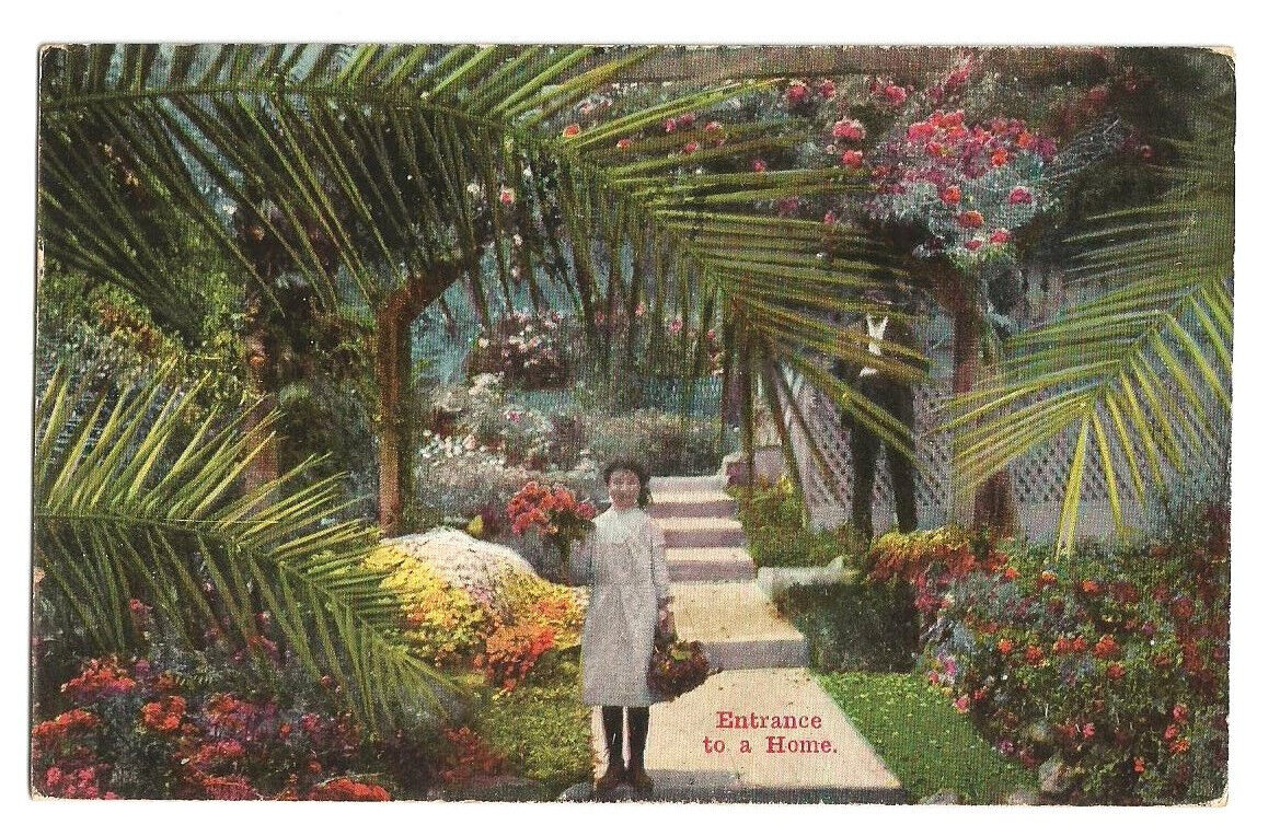 Entrance to  a Home Postcard Tropical Landscaping c1910