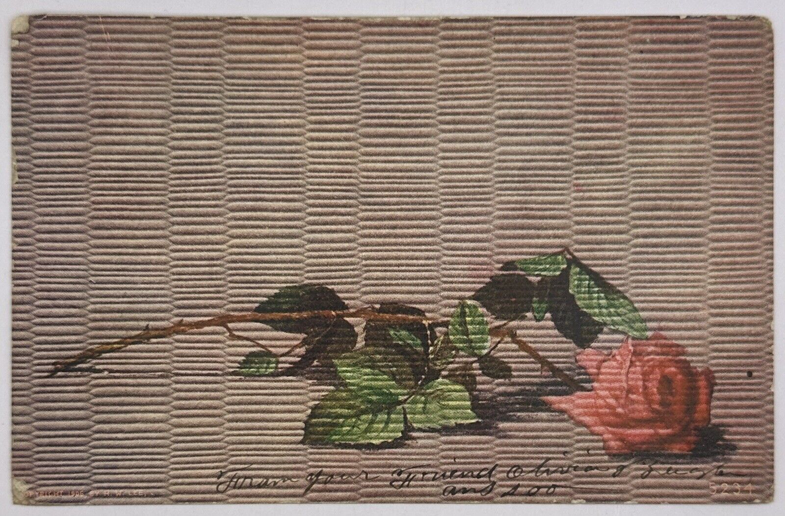1906 Fallen Rose Postcard Undivided Back