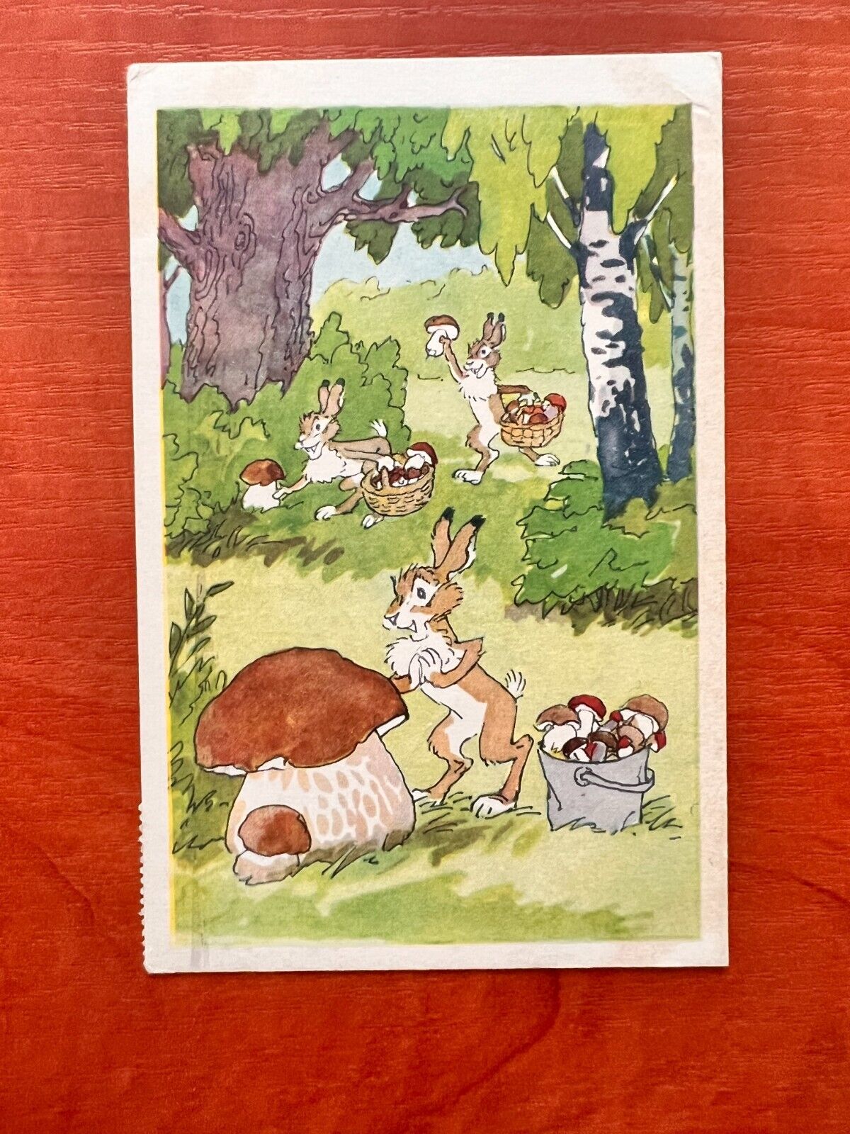 Soviet postcards Hares Mushrooms Forest Russian Fairy tale Old postcards
