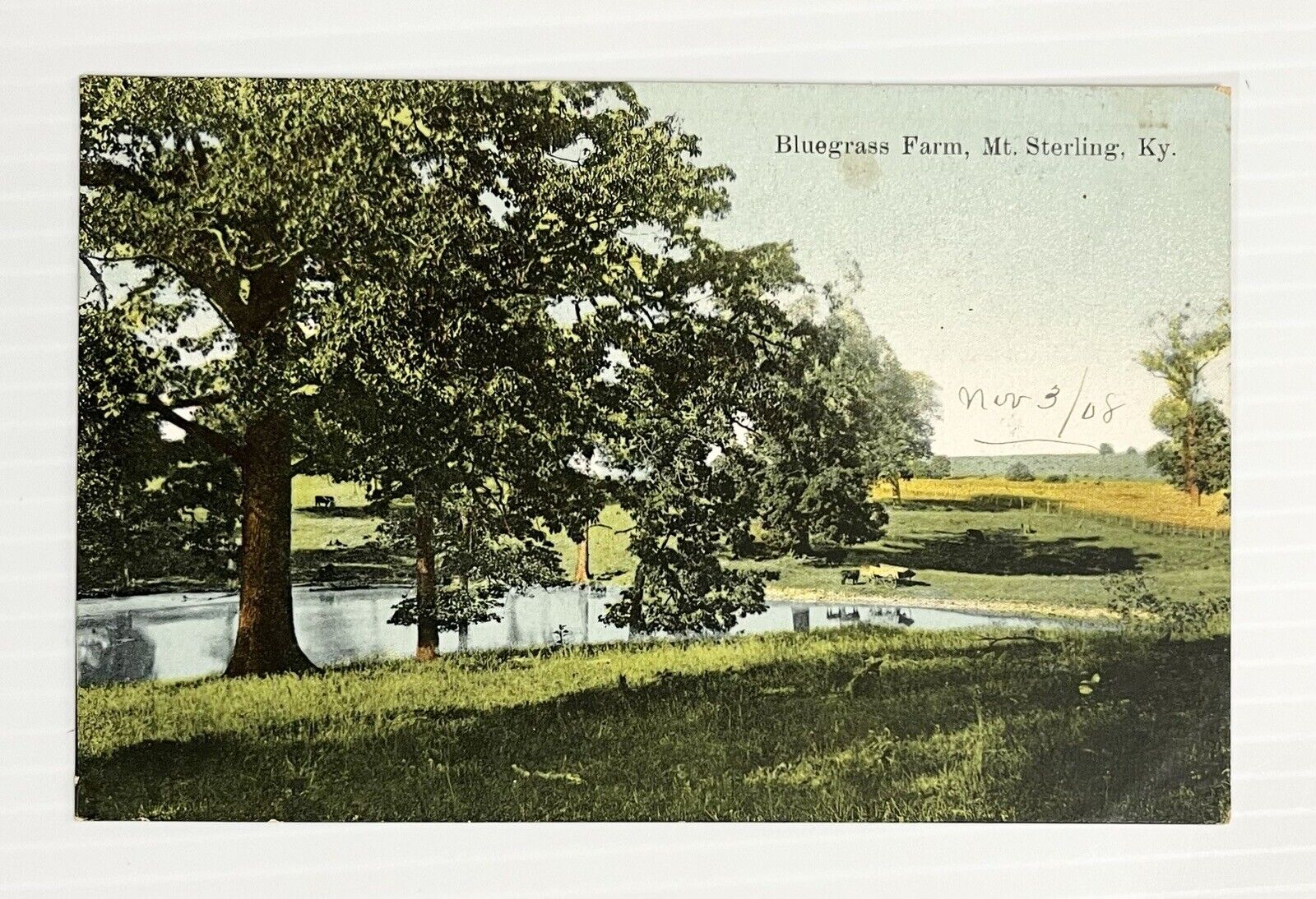 1908(?) Postcard Bluegrass Farm, Mt. Sterling, Kentucky KY