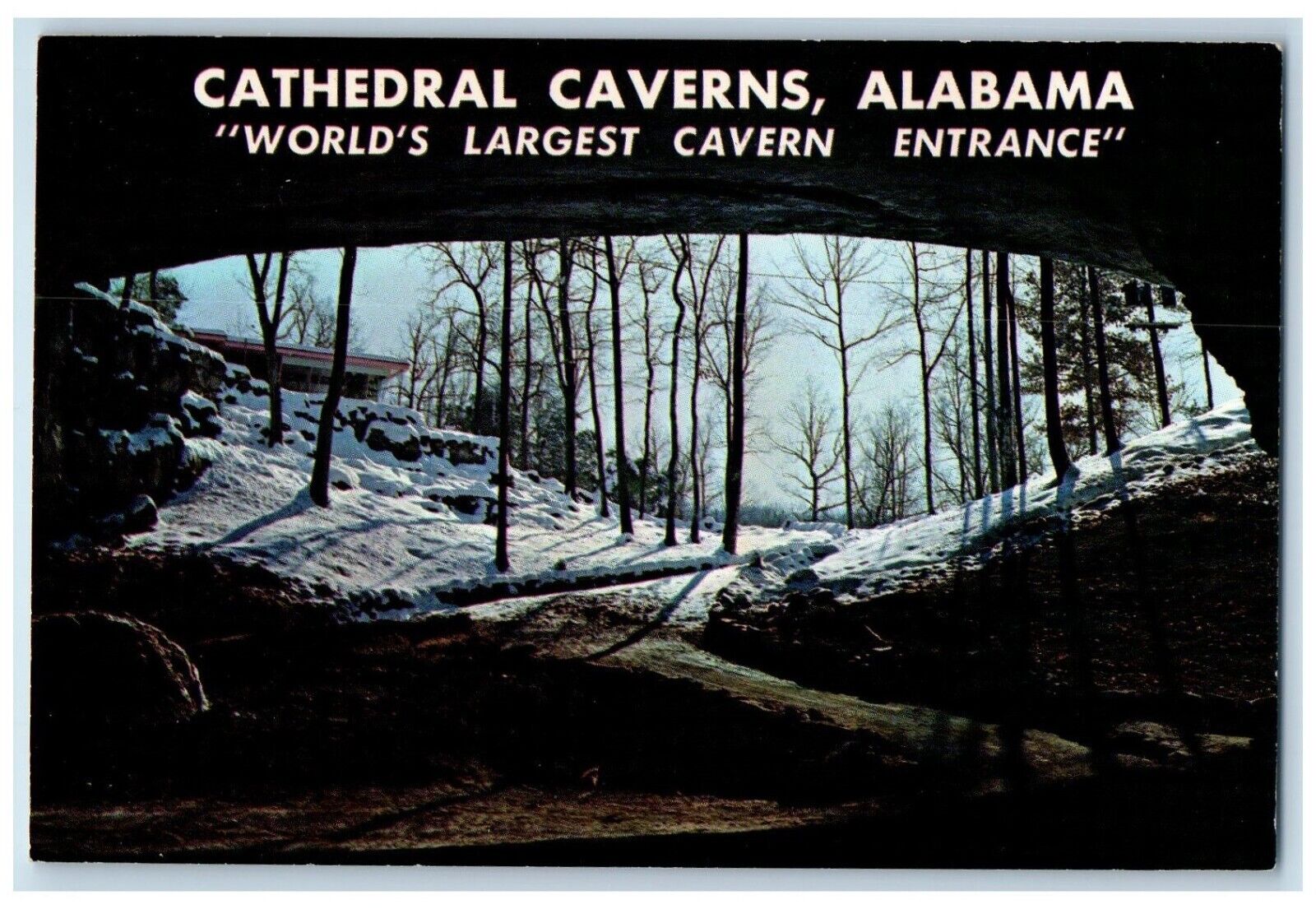 c1960\'s Cathedral Caverns Alabama World Largest Cavern Entrance Alabama Postcard
