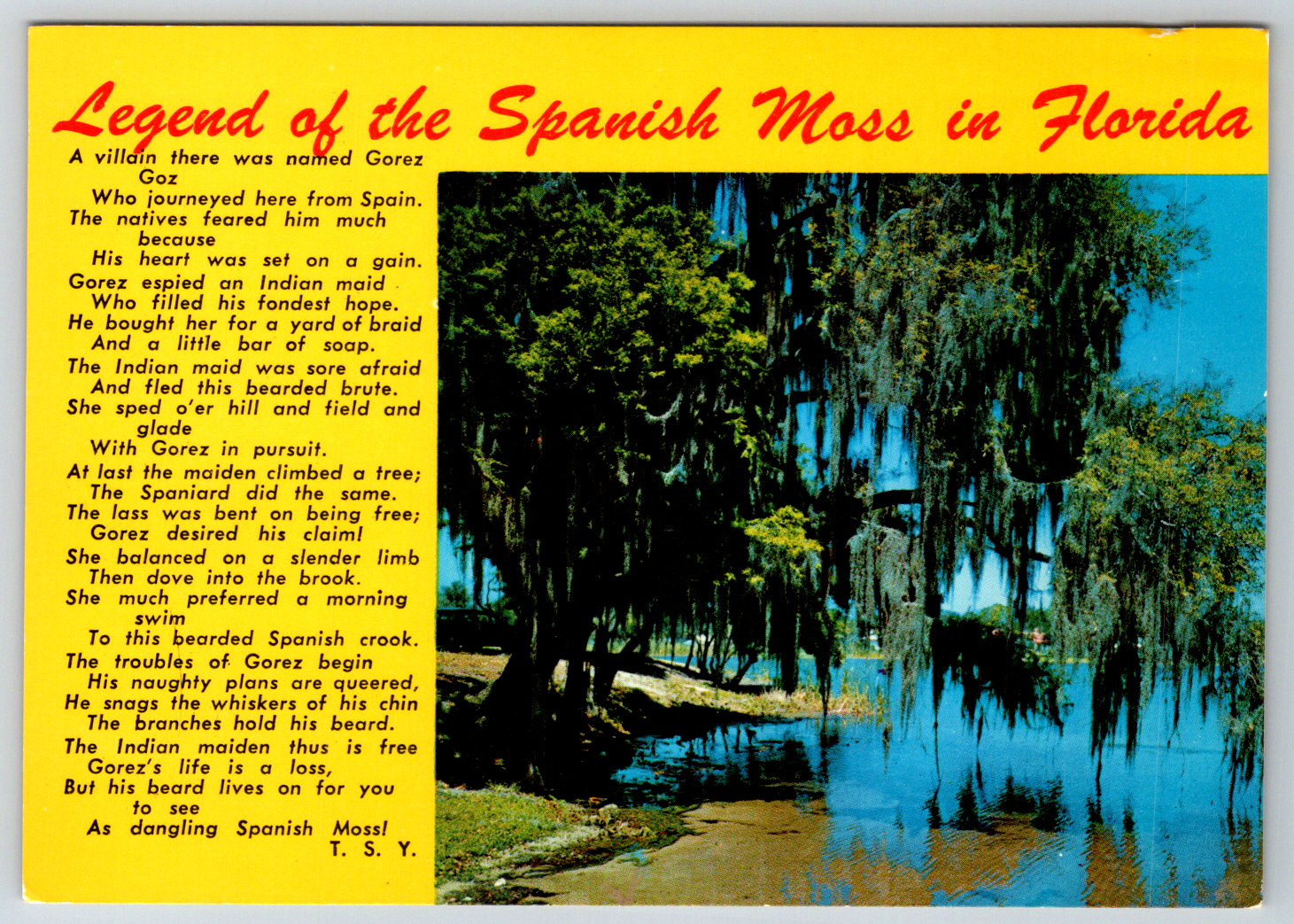 1970s Florida Legend Spanish Moss Florida Sunshine State Vintage Postcard