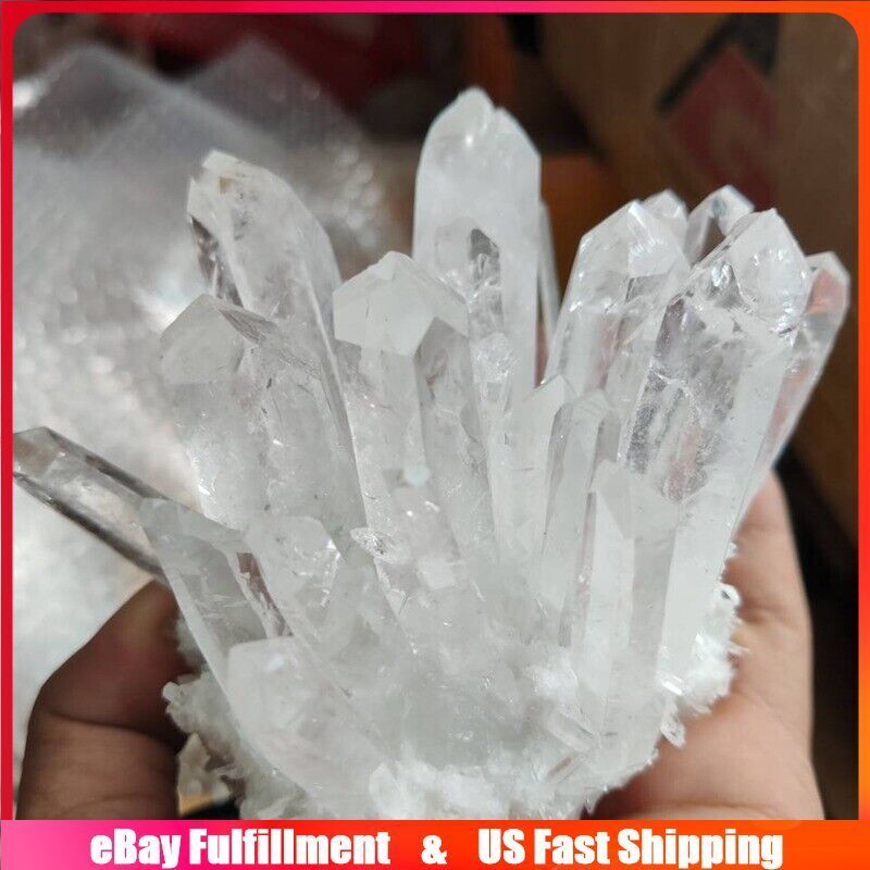 150g Large Natural Clear Quartz Druzy Geode Healing Crystal Cluster Specimens US
