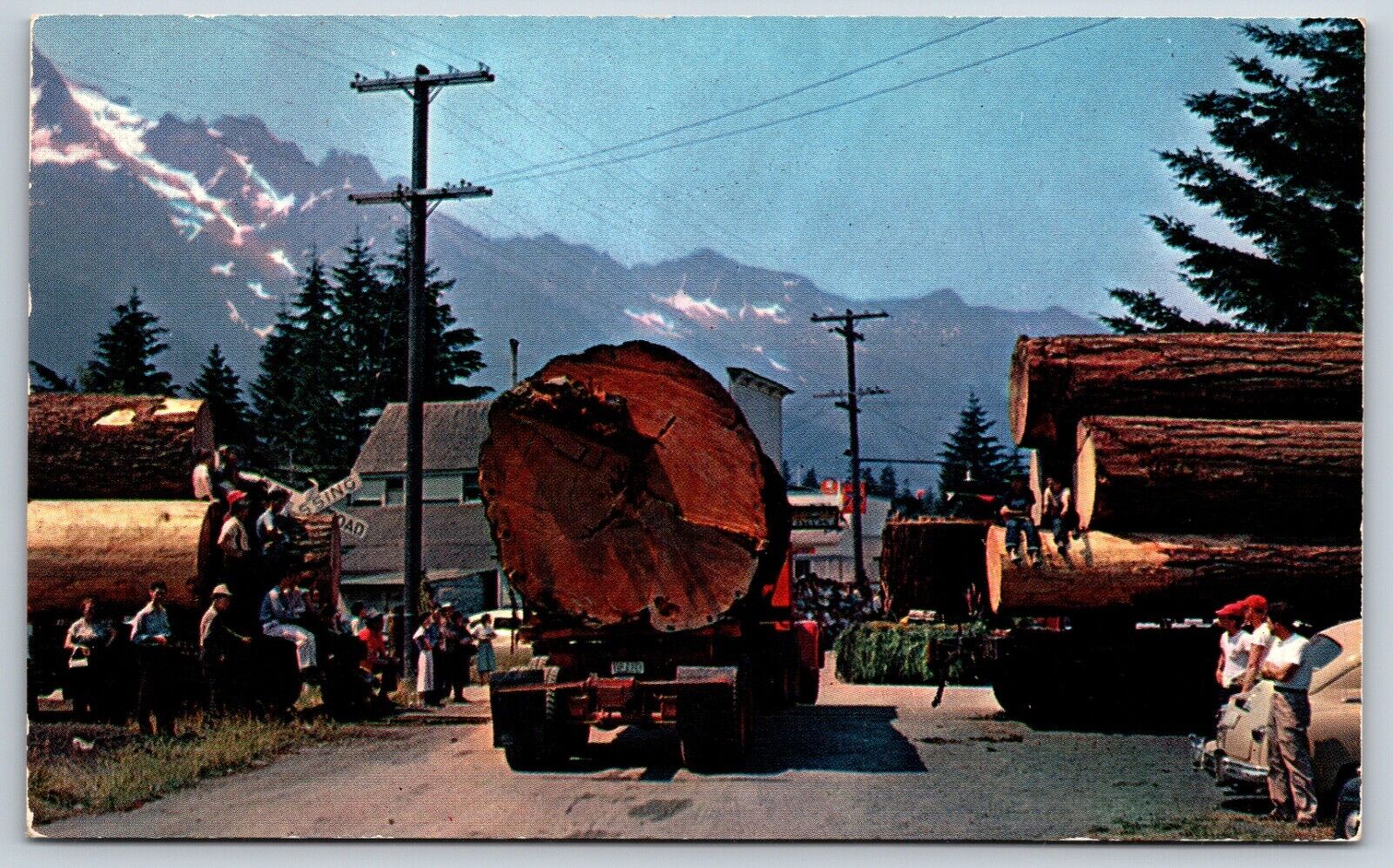 Postcard Logging In Oregon A Load Of 14,000 Board Feet (1 log), Unposted