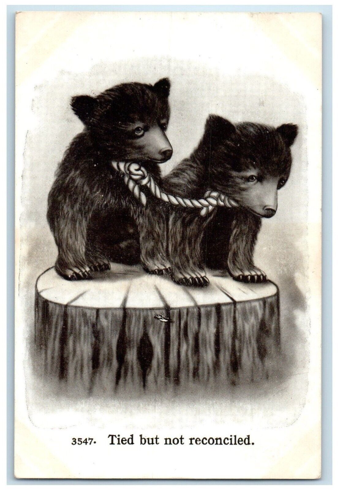 c1910\'s Dog Puppies Tied But Not Reconciled Animals Unposted Antique Postcard