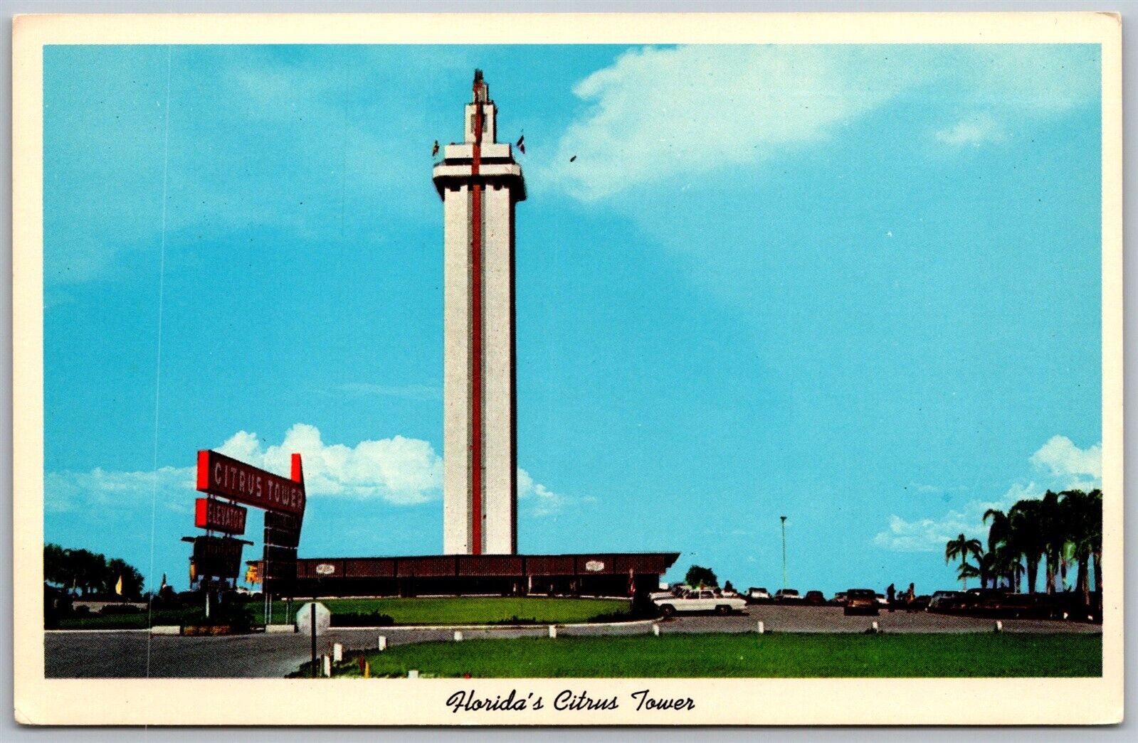 Vtg Clermont Florida FL Citrus Tower 1960s Unused Chrome View Postcard