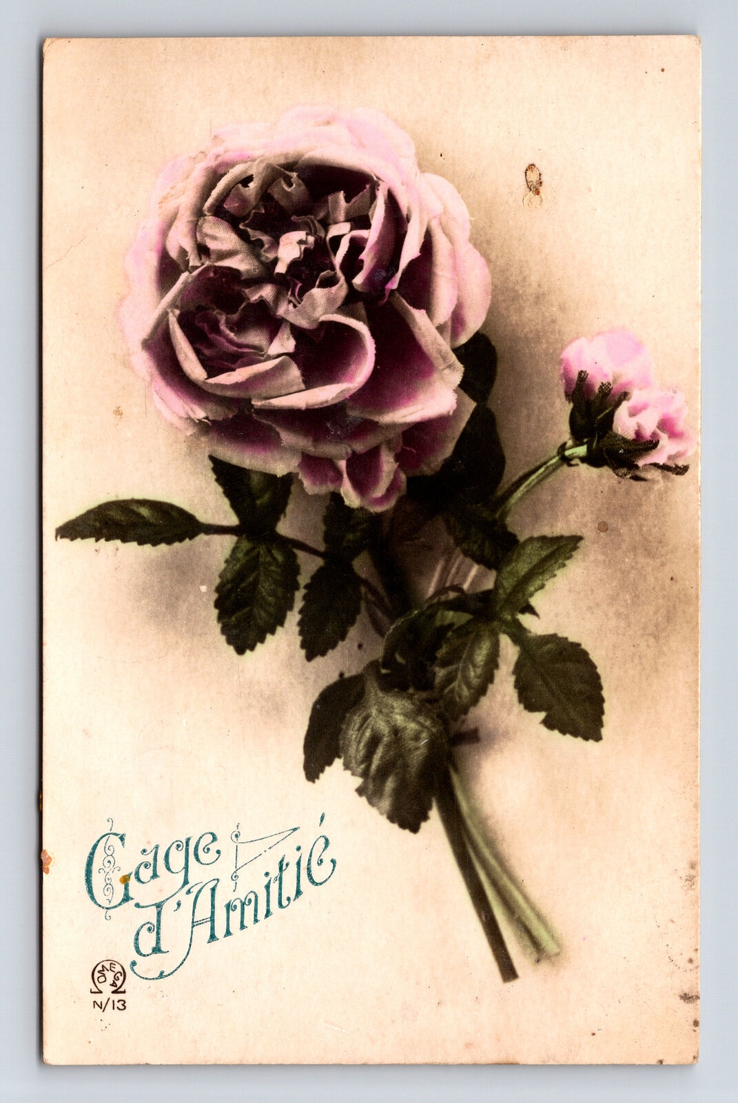 c1911 RPPC French Fabric Carnation Flower OMEGA Postcard