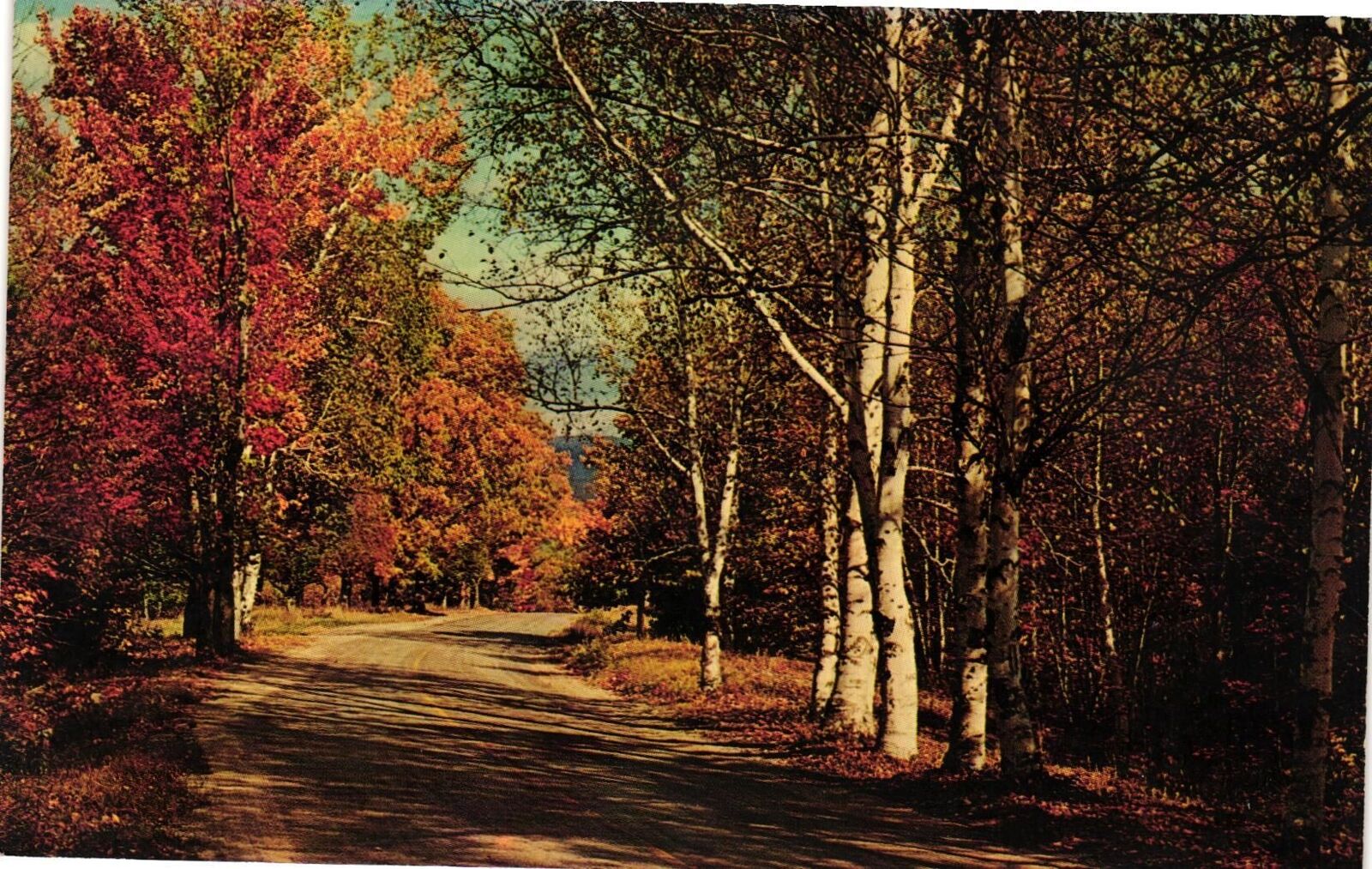 Vintage Postcard- 5S-544. A COUNTRY ROAD IN AUTUMN, ME. Unused 1950