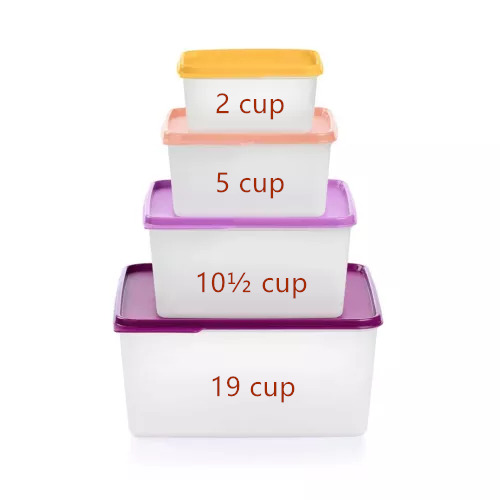 Tupperware KeepTabs Nesting Container Set of 4 Multicolor New