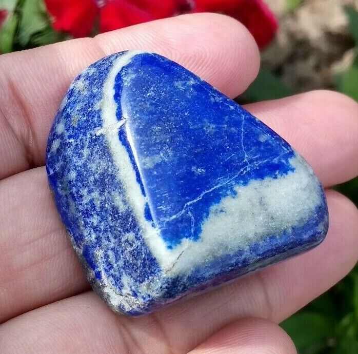 Natural Large Blue Lapis with Gold Specs Free Form Top Quality, 194ct, US Seller