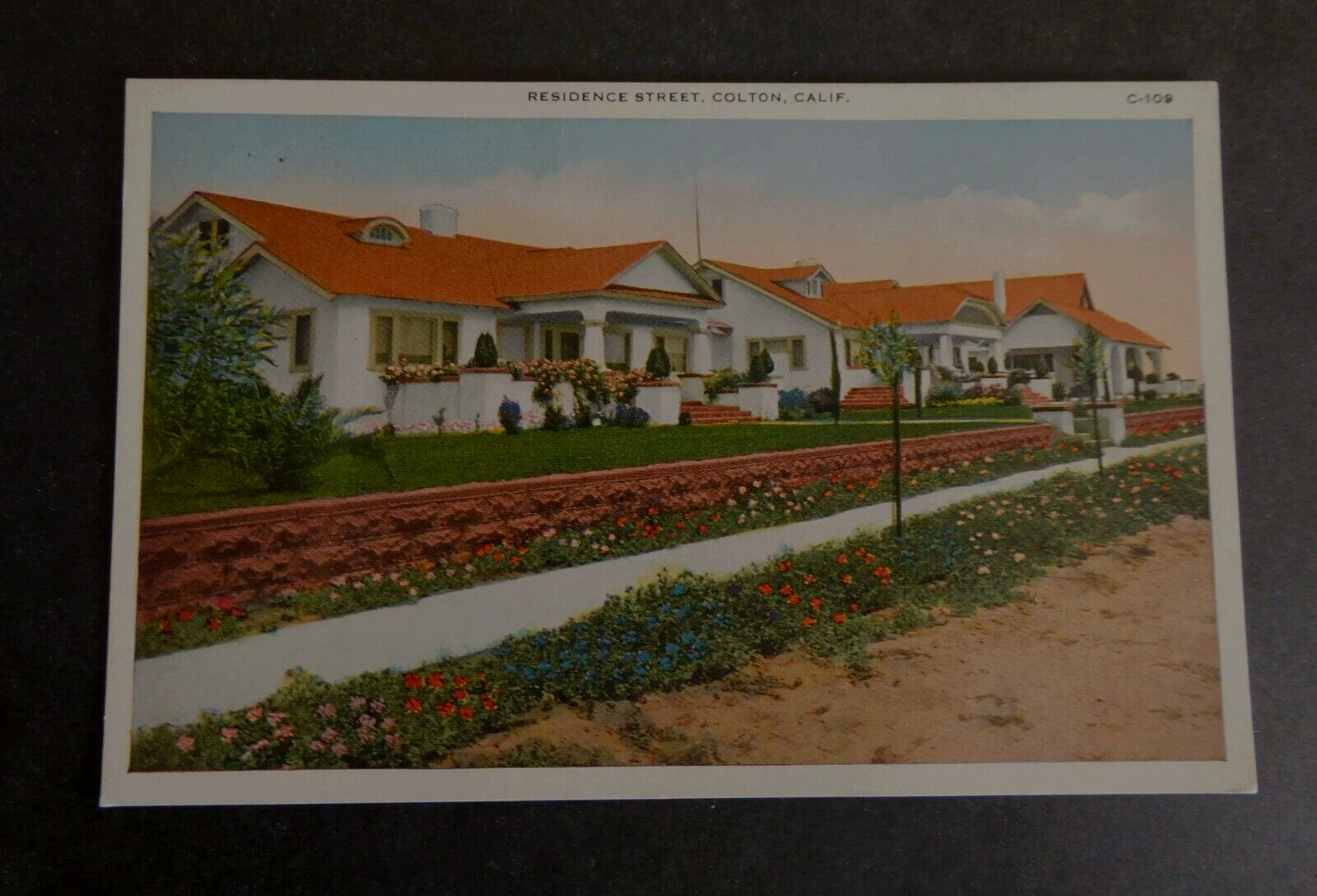 1920s California Bungalow Homes Colton Residential Street Scene Lots of Flowers
