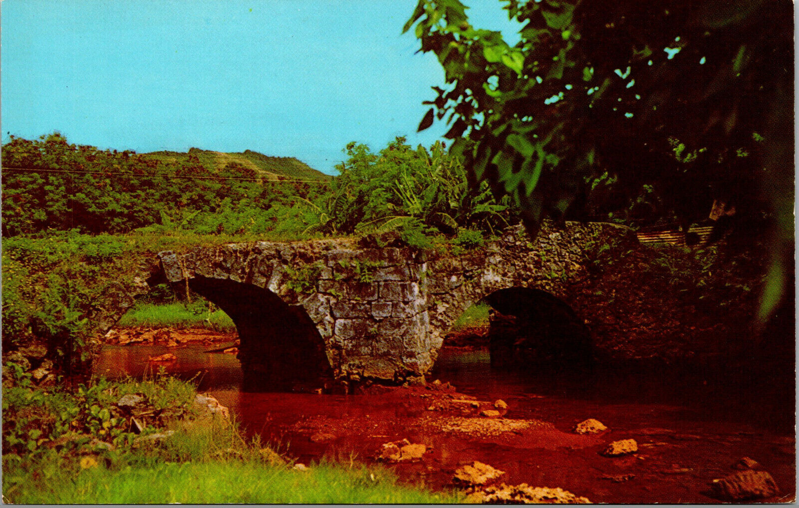 Vtg Old Spanish Bridge on Bull Cart Trail to Umatic Agat Guam Chomre Postcard