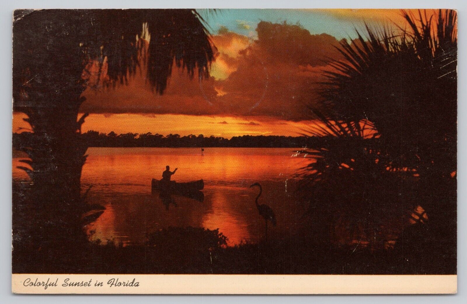 Beautiful Sunset Canoe Palms Silhouettes in Florida, Vintage Postcard