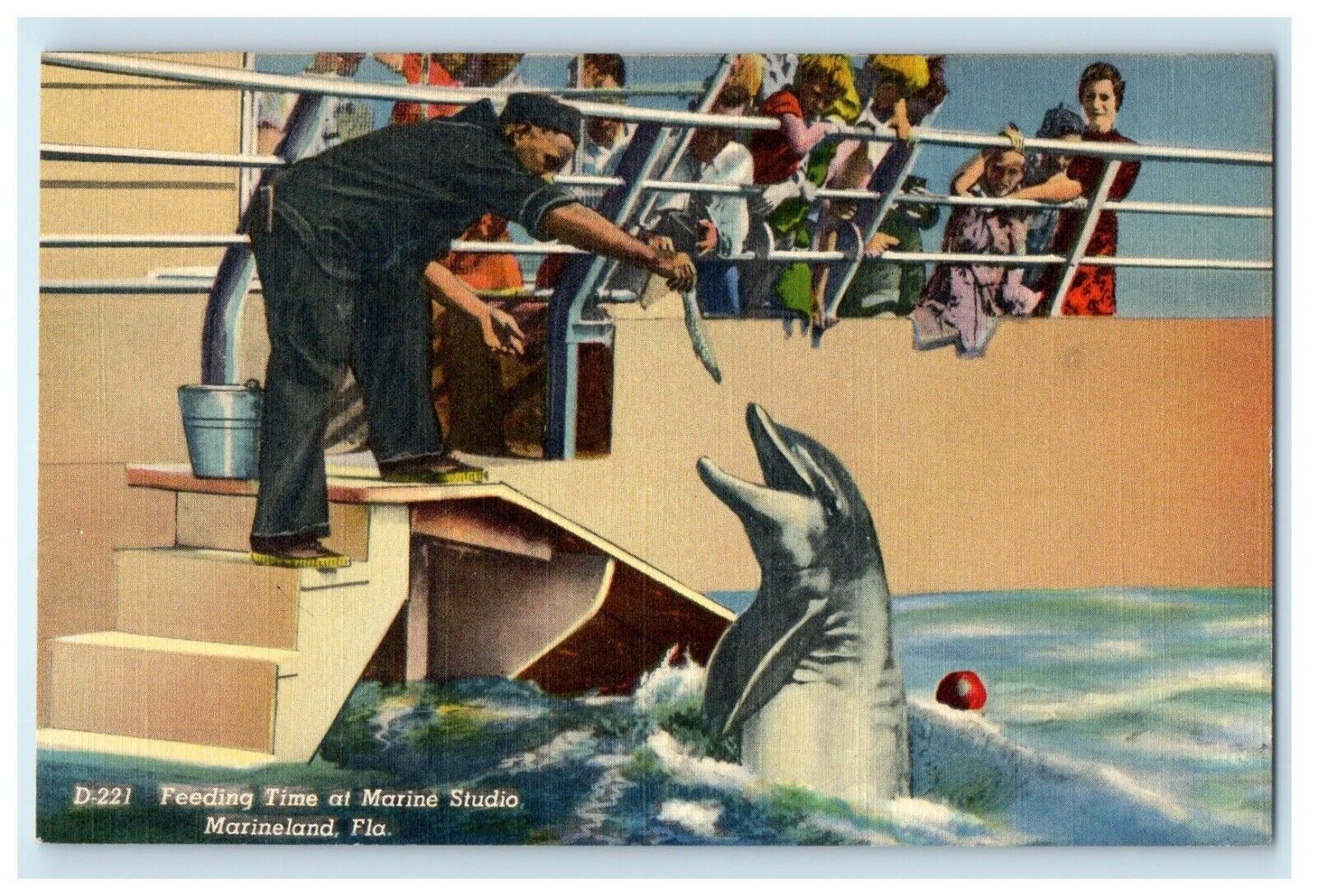 c1940\'s Feeding Time At Marine Studio Marineland Florida FL Vintage Postcard