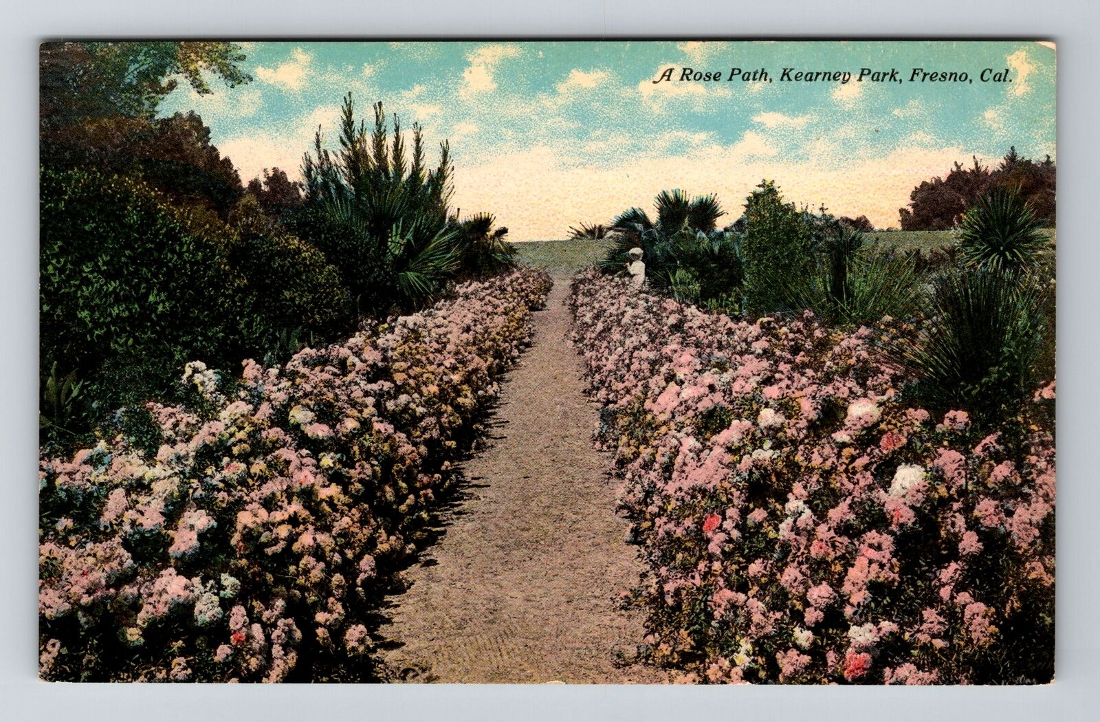 Fresno CA-California, Kearney Park Rose Path, Vintage Postcard