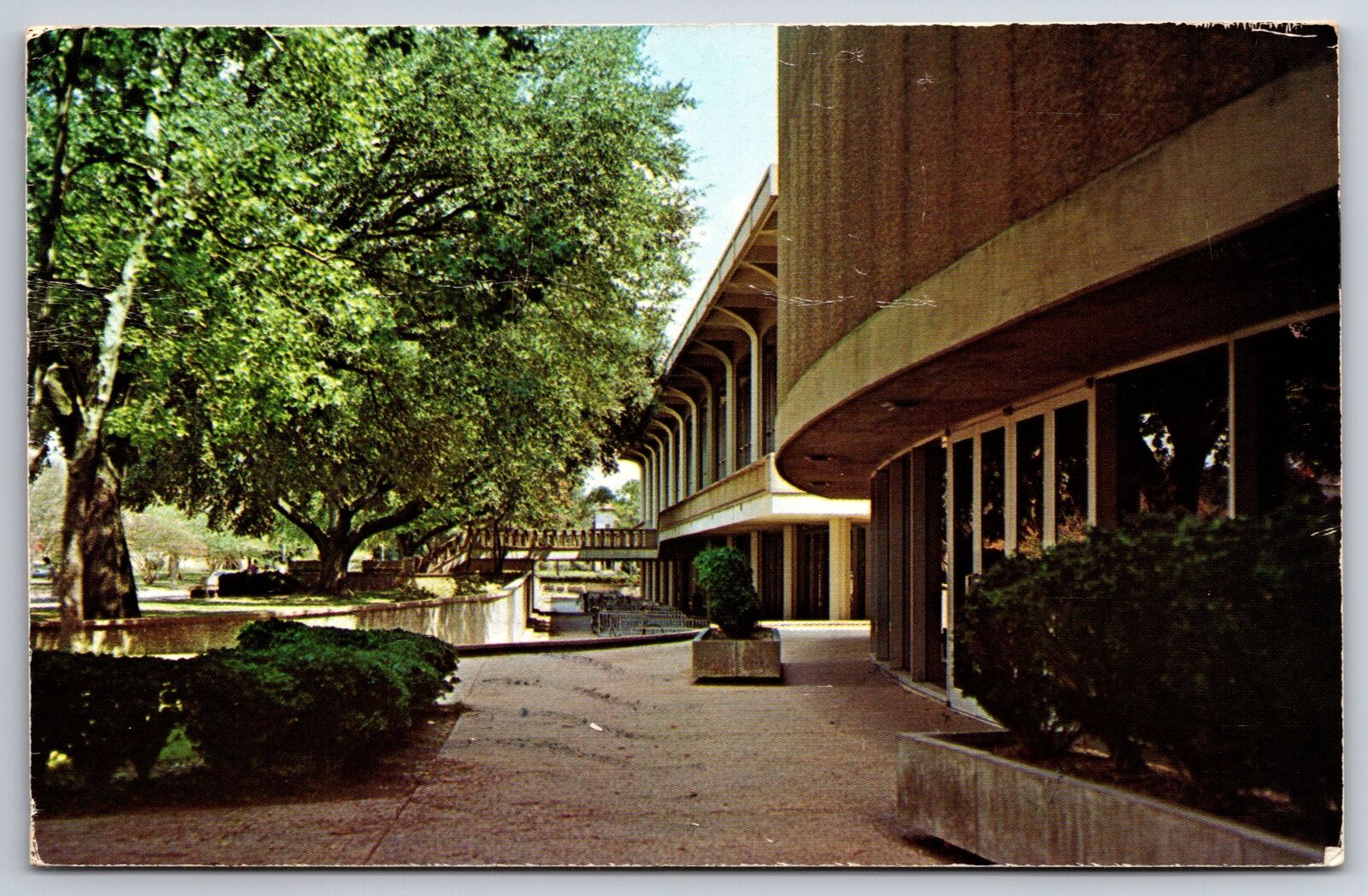 Baton Rouge~Louisiana State University~LSU Union Shaded Walk~1970s Postcard