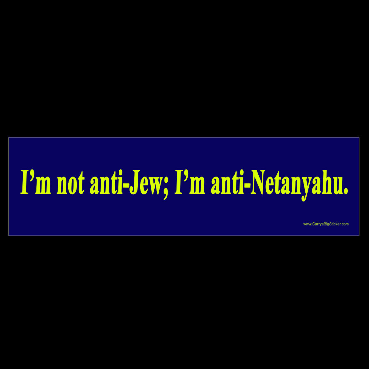 I'm not anti-Jew; I'm anti Netanyahu BUMPER STICKER or MAGNET  Israel Palestine