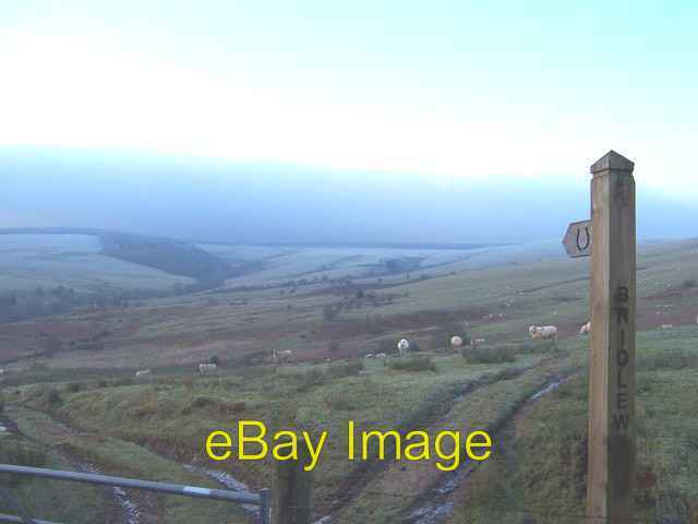 Photo 6x4 Bridleway towards Kerry Ridgeway Ale Oak  c2007