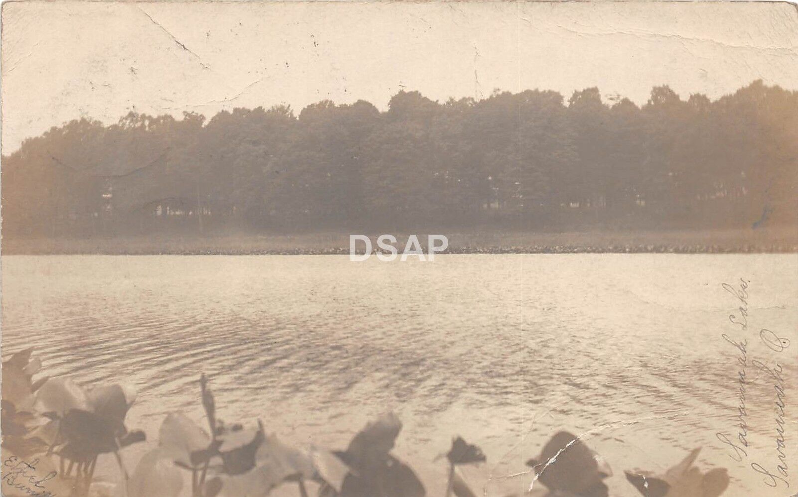 Ohio Postcard Real Photo RPPC 1907 SAVANNAH Lake View Lily Pads Ashland County