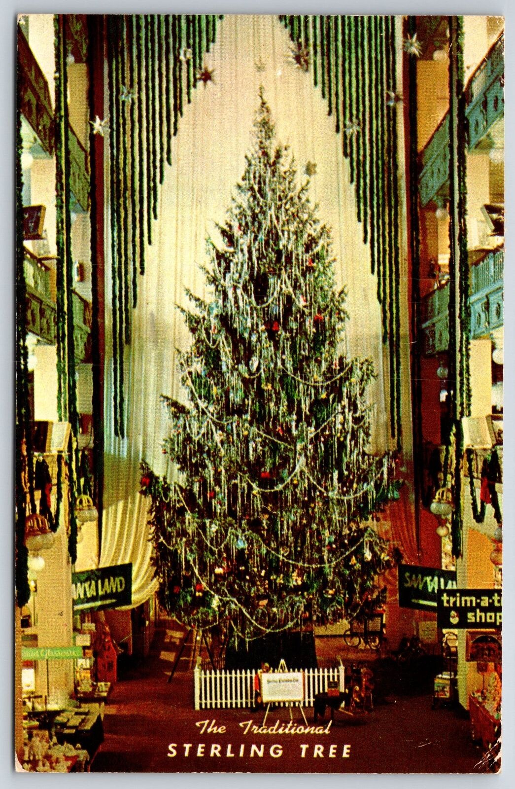 Cleveland Ohio~The Traditional Sterling Christmas Tree~PM 1956~Vintage Postcard