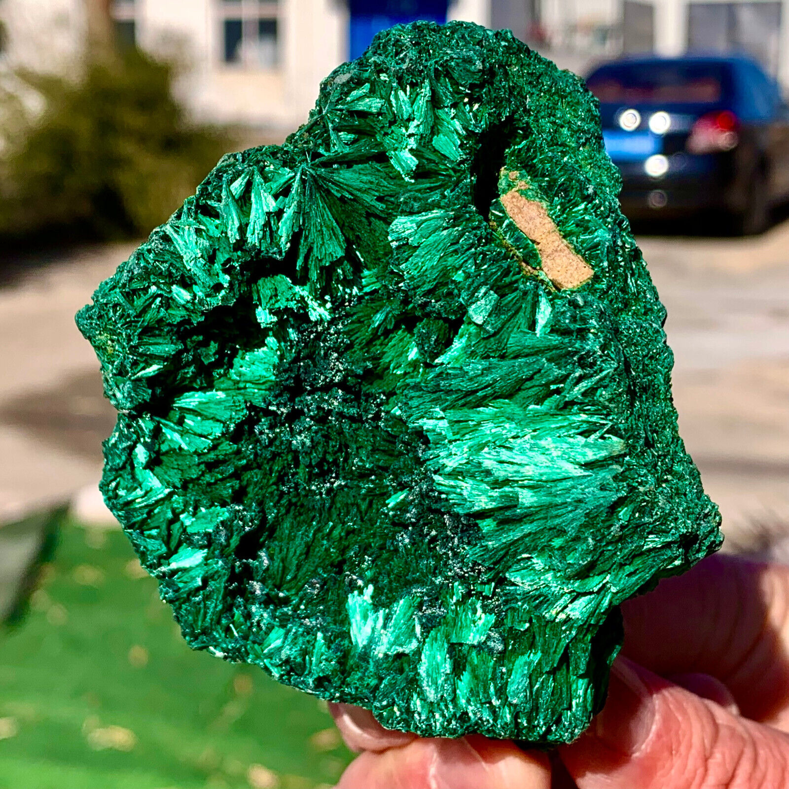 269G Natural glossy Malachite cat eye transparent cluster rough mineral sample