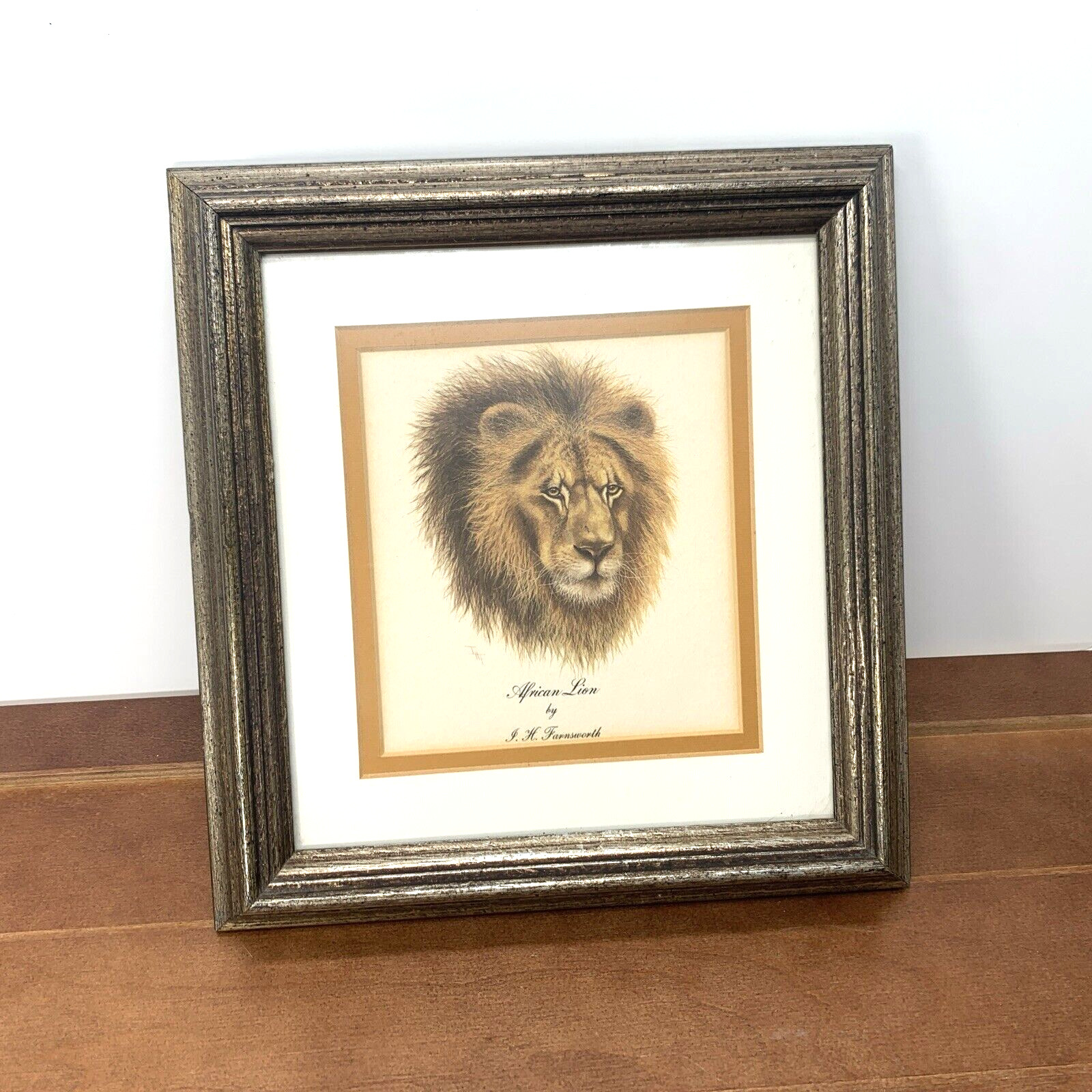 African Lion by Imogen H Farnsworth 9x9.5\