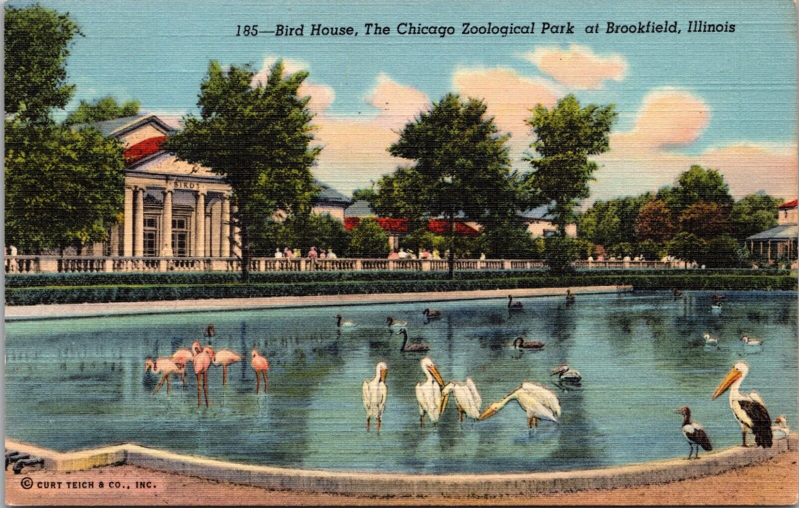 Chicago Zoological Park at Brookfield Bird House Illinois IL Postcard