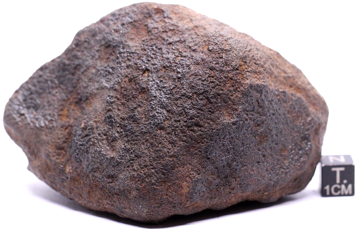 Meteorite NWA 15581 CK5 Carbonaceous chondrite meteorite, 289 grams