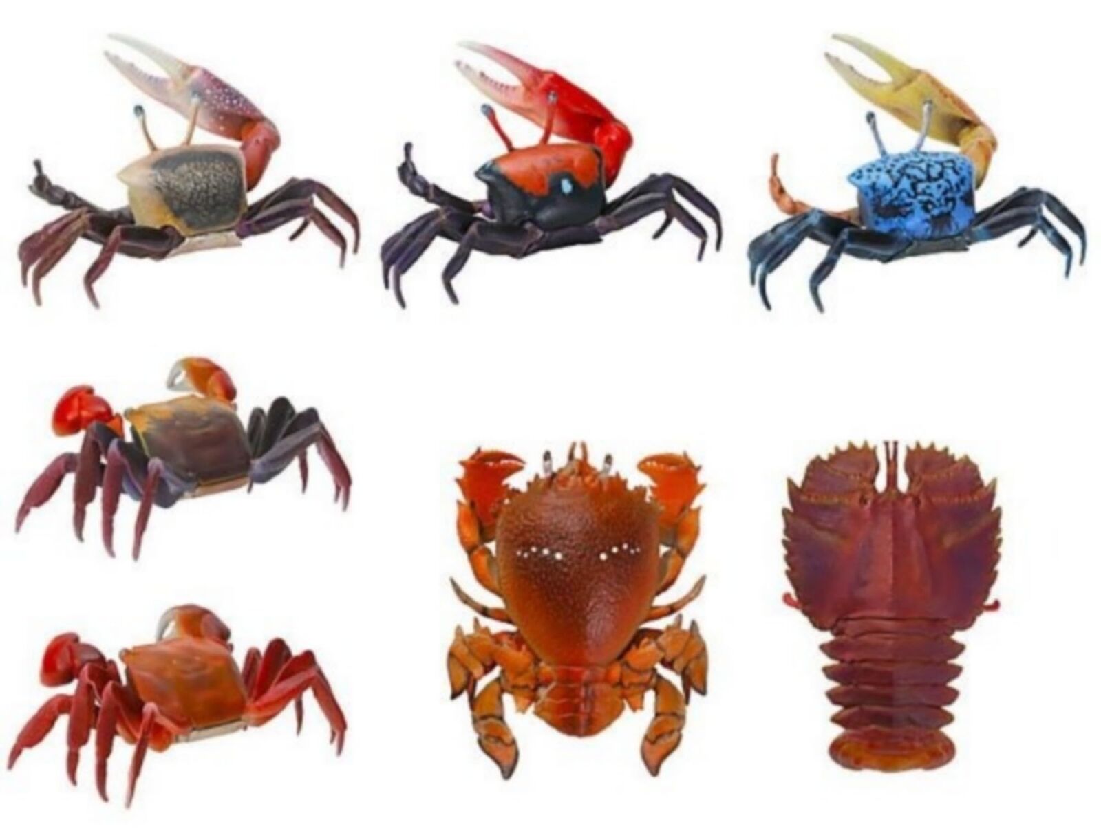 Illustrated encyclopedia of creatures mini collection Crustacea 01 x all 7 types