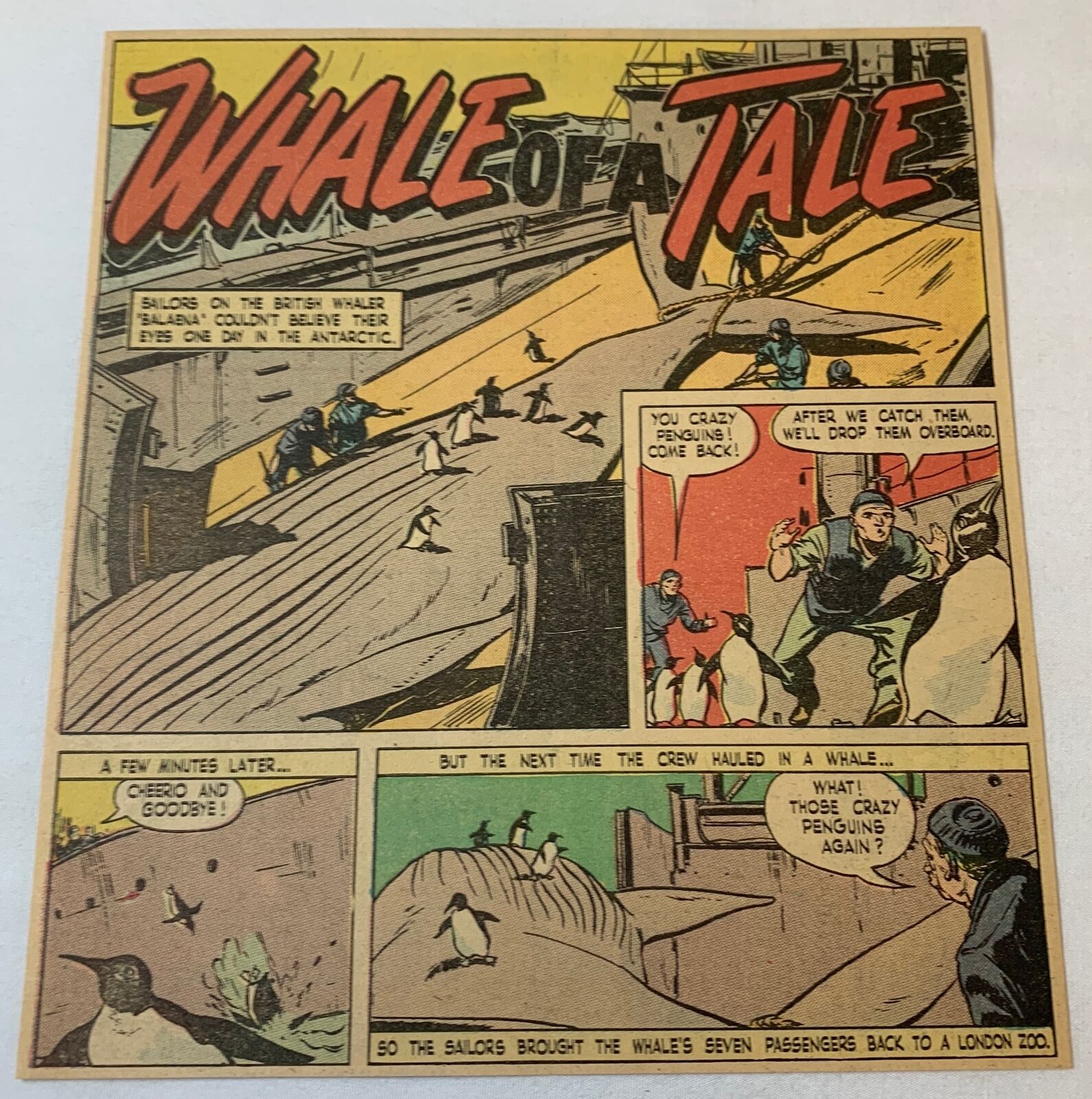 1947 cartoon ~ PENGUINS ON A WHALING VESSEL ~ Whale Of A Tale
