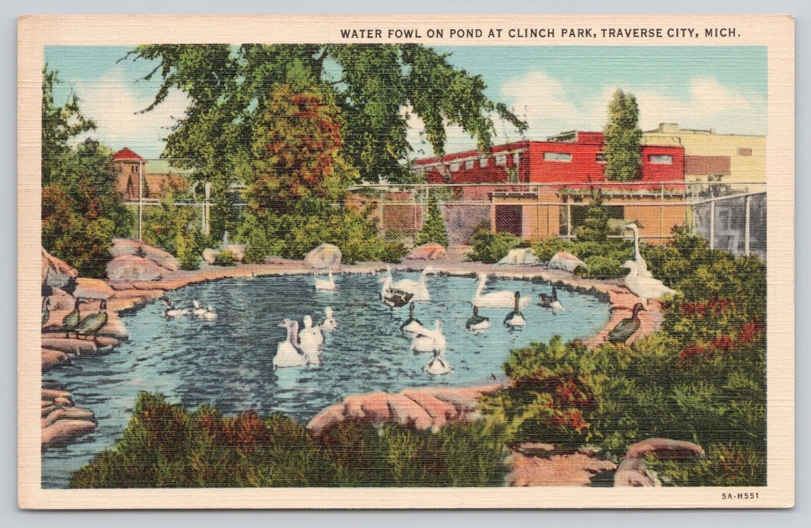 Traverse City Michigan MI - Water Fowl on Pond at Clinch Park Vintage Postcard
