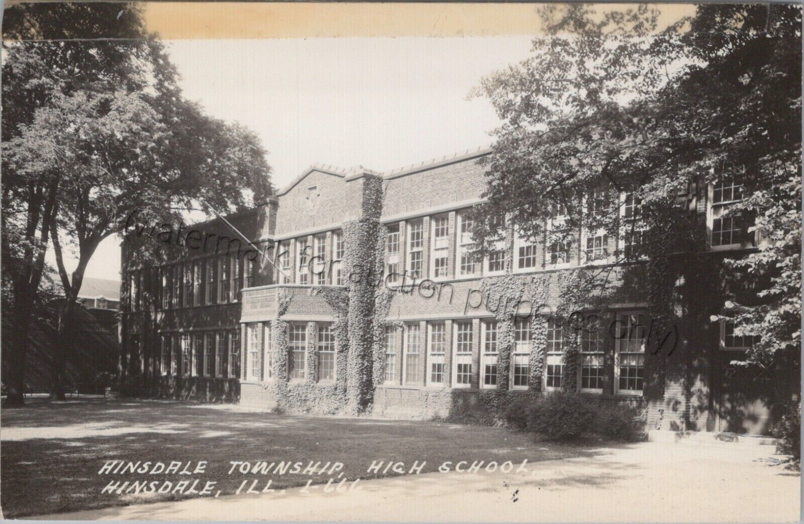 Hinsdale, IL: High School RPPC, DuPage County, Illinois Real Photo Postcard