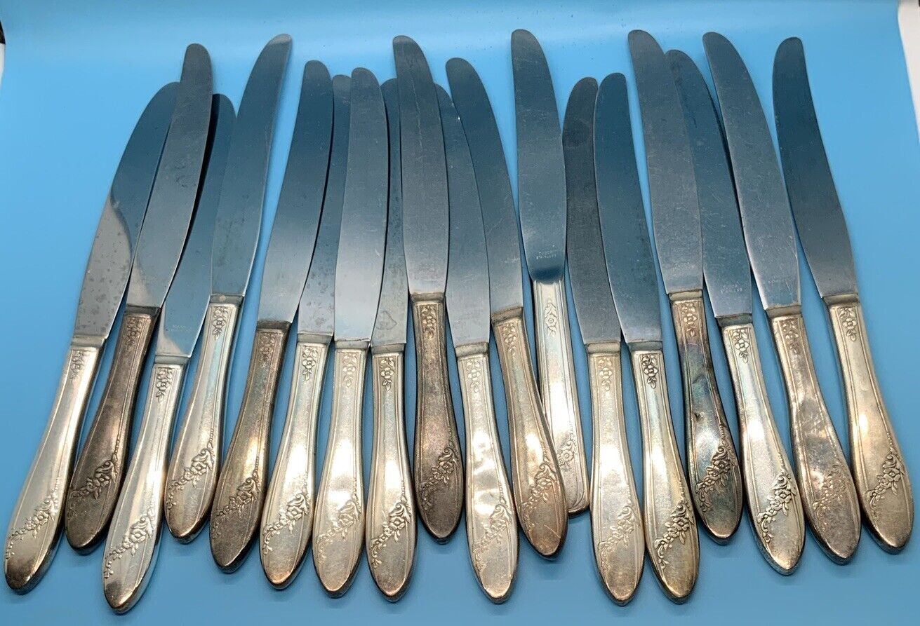Tudor Stainless Vintage Lot Of 18 Knives Rare Find